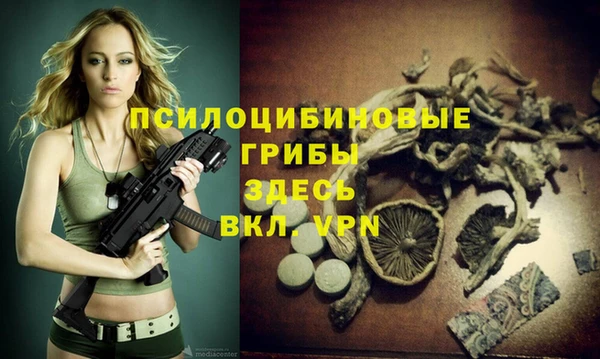 метамфетамин Богородицк