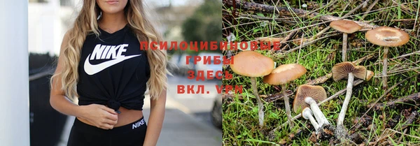 ешки Богданович